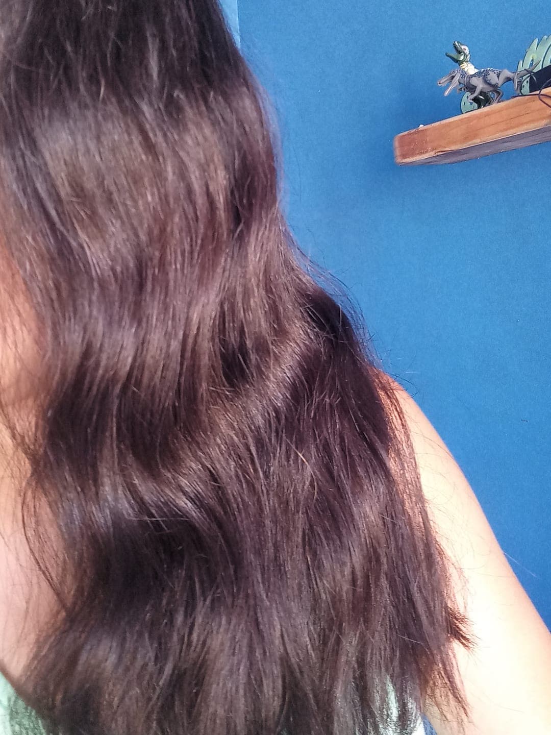 Foto de Nidia T. usando Shampoo Antifrizz 300 ml